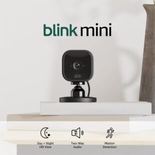 Blink Mini camera with day and night view.