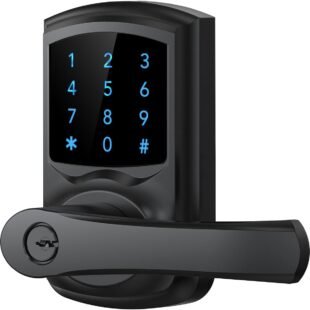 Electronic keypad door lock with handle