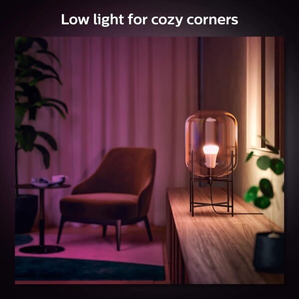 Cozy corner with low ambient lighting and chair.