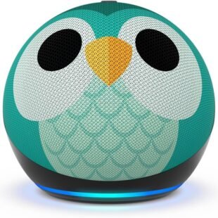 Owl-themed smart speaker with blue light base.