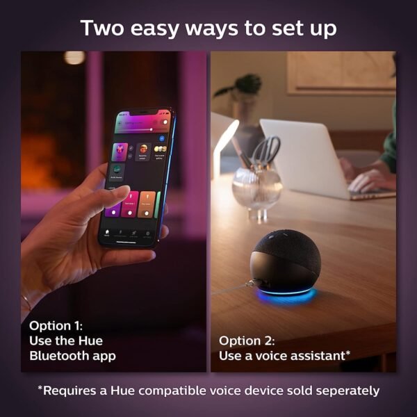 Set up Hue with app or voice assistant.