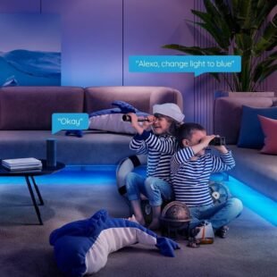 Effortless voice control with ambient lighting setup.